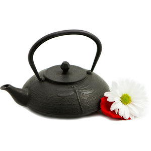 The Playful Dragonfly Cast Iron Teapot