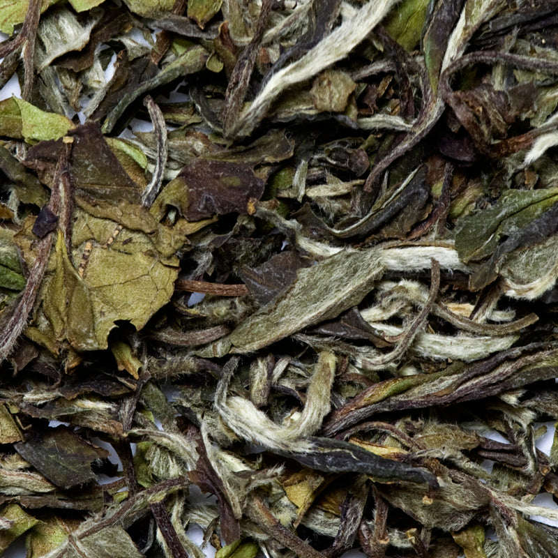 White Bai Mundan Loose White Tea – BigTeaHouse