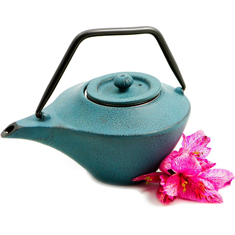 Blue Floral Cast Iron Teapot